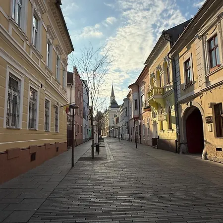 Cozy Loft-style Studio, Ultra-central, View Cluj-Napoca