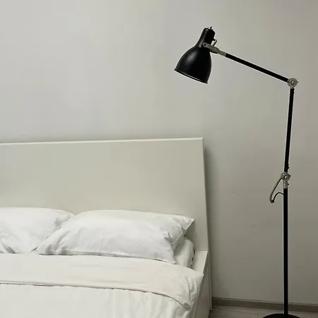 Apartament Cozy Loft-style Studio, Ultra-central, View *