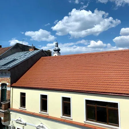 Apartament Cozy Loft-style Studio, Ultra-central, View *